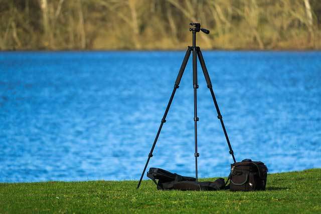 tripod for wildlife photography