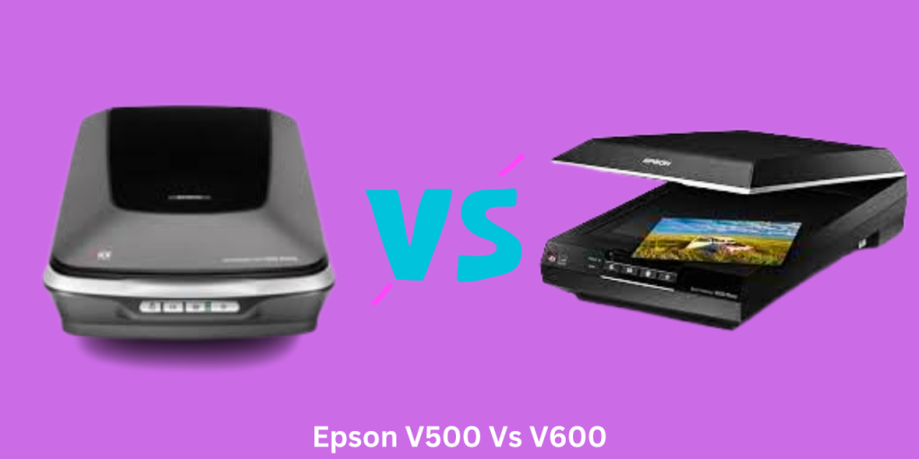 Epson V500 Vs V600