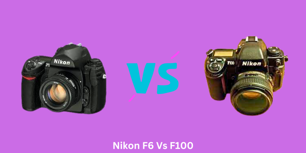 Nikon F6 Vs F100