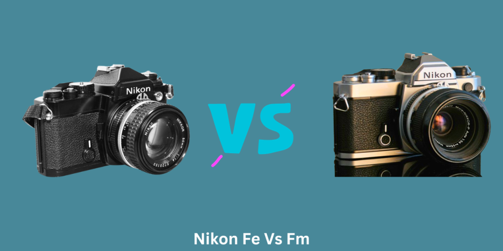Nikon Fe Vs Fm
