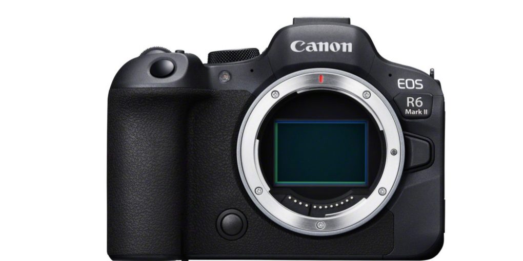 Canon 1D Vs 5D