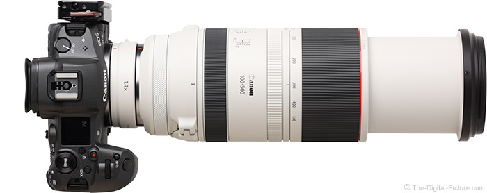 Canon Rf 100-400 Vs 100-500