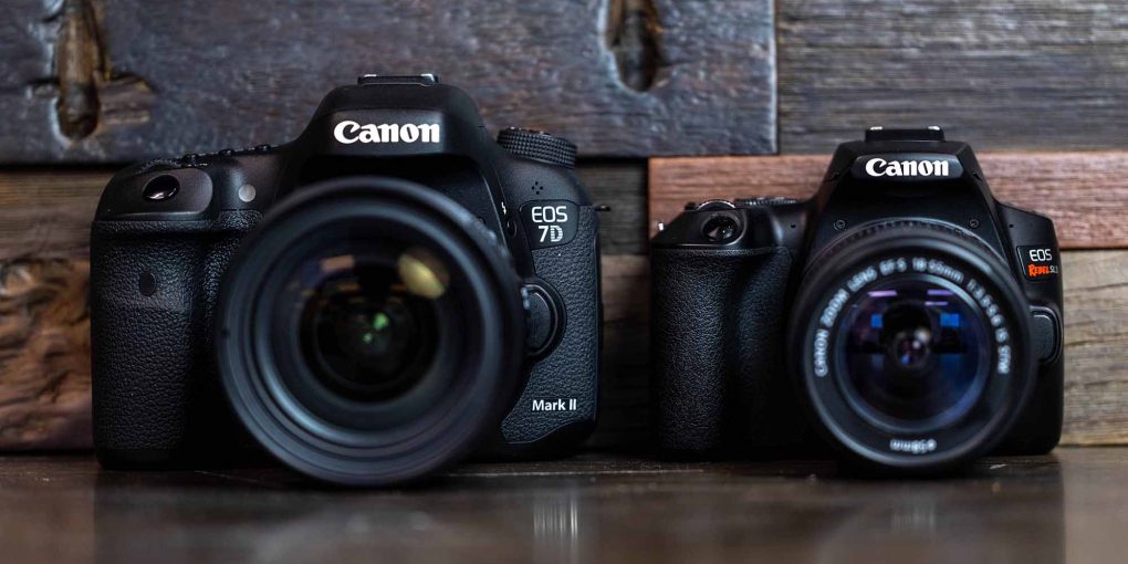 Canon 7D Vs 6D