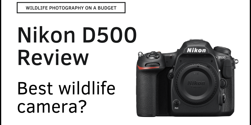 Nikon D500 Vs D810