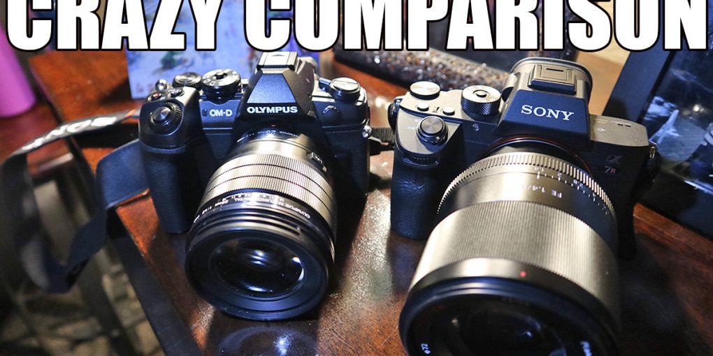 Olympus Omd Vs Sony A7Iii