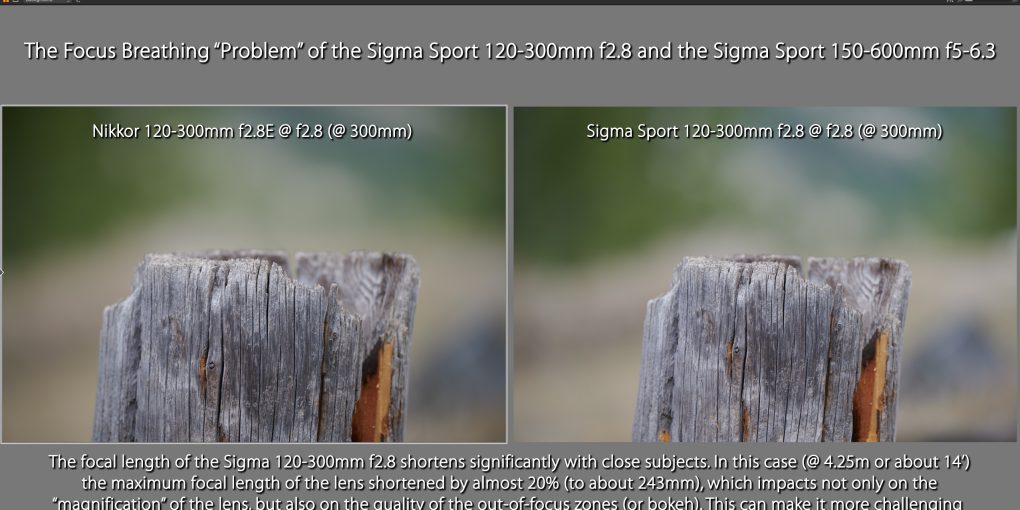 Sigma 120-300Mm F2 8 Vs Nikon 300Mm F2 8