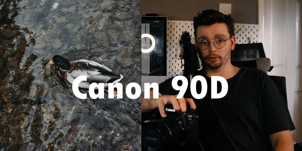 Canon R Vs 90D