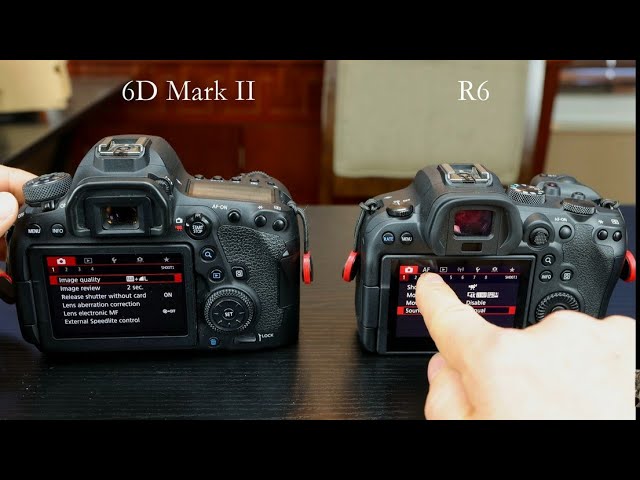 Canon R6 Vs 6D Mark Ii