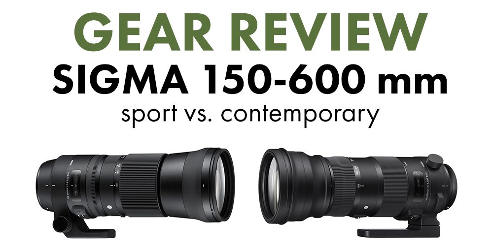 Sigma 150 600Mm Contemporary Vs Sport